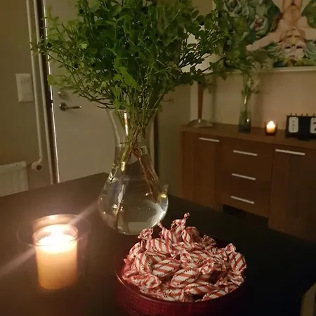 Norppa 度假村 萨翁林纳