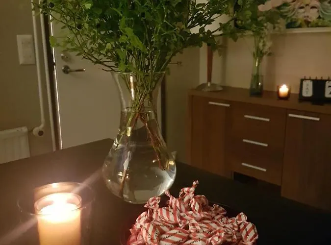 Norppa Resort Savonlinna